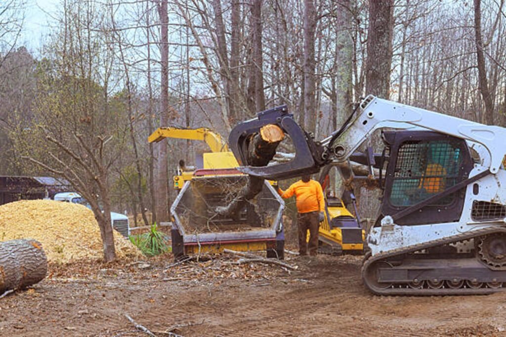 Residential property after professional tree removal with logs processed and the hazardous tree safely removed in Fenton, MO.