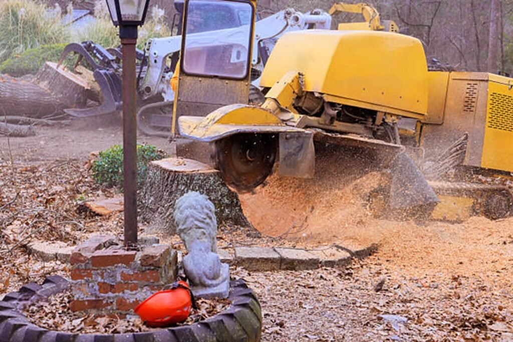 Professional stump grinding machine removing a large tree stump while clearing wood chips during a residential stump grinding project in Fenton, MO.