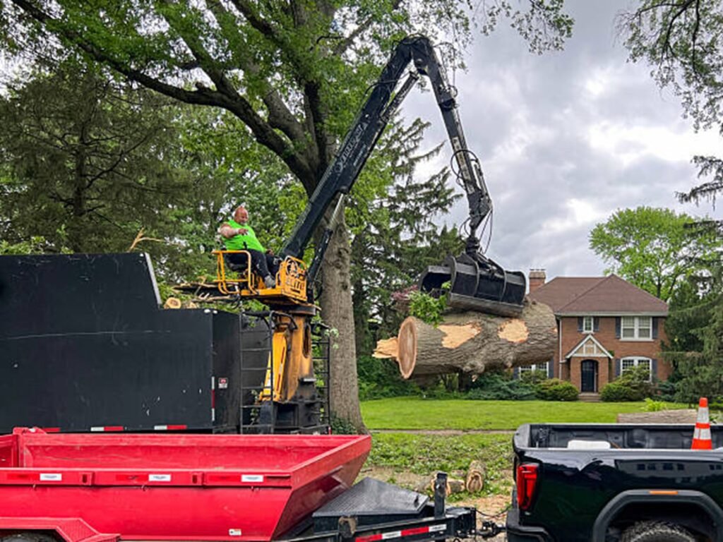 Professional tree removal crew using heavy equipment to safely lift and remove large tree sections during a residential tree removal project in Fenton, MO