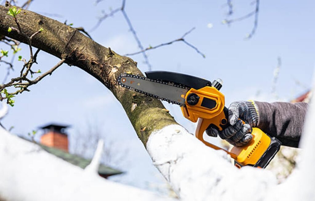Professional tree trimming specialist pruning a large tree branch with a chainsaw to improve tree health and safety in Fenton, MO.