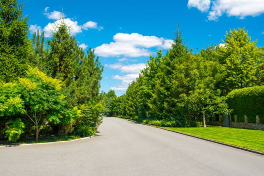 Beautiful tree-lined residential neighborhood representing the communities served by Precision Tree Pros throughout Fenton, MO.