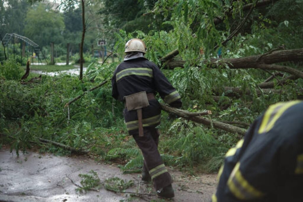 Professional crew clearing fallen trees and storm debris from a residential roadway during storm damage cleanup in Fenton, MO.