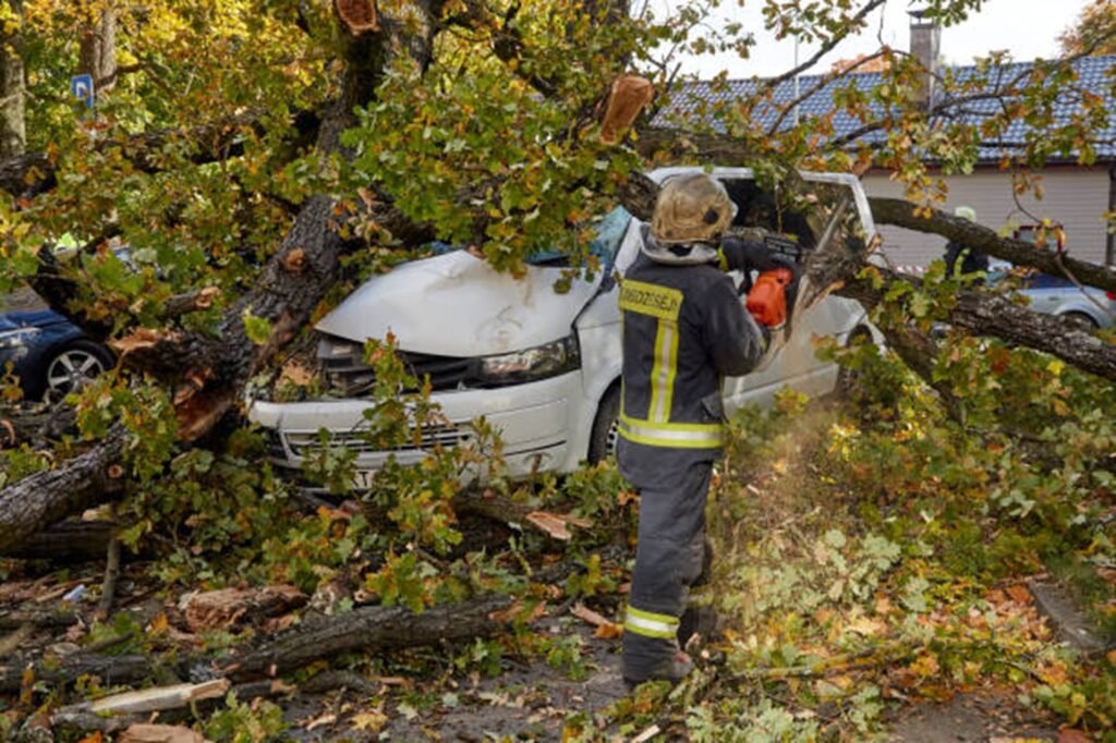 Emergency tree service crew removing a large fallen tree from a damaged vehicle after severe storm damage in Fenton, MO.