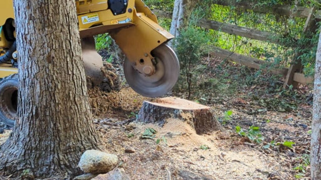 Commercial stump grinder removing a tree stump below ground level during professional stump grinding and removal service in Fenton, MO.