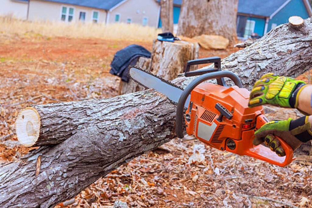 Professional chainsaw cutting through a fallen tree during emergency tree removal service at a residential property in Fenton, MO.