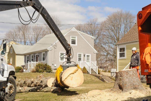 Professional emergency tree service crew cutting and removing a large fallen tree blocking a residential street in Fenton, MO.