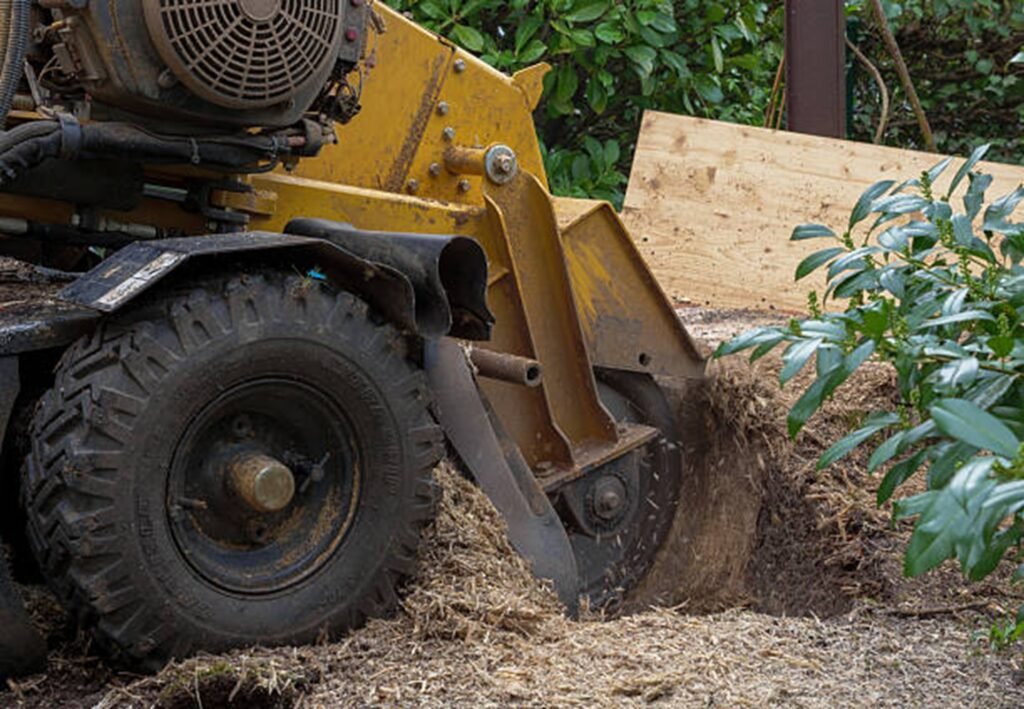 Professional stump grinding machine removing a tree stump from a residential yard during stump grinding and removal service in Fenton, MO.