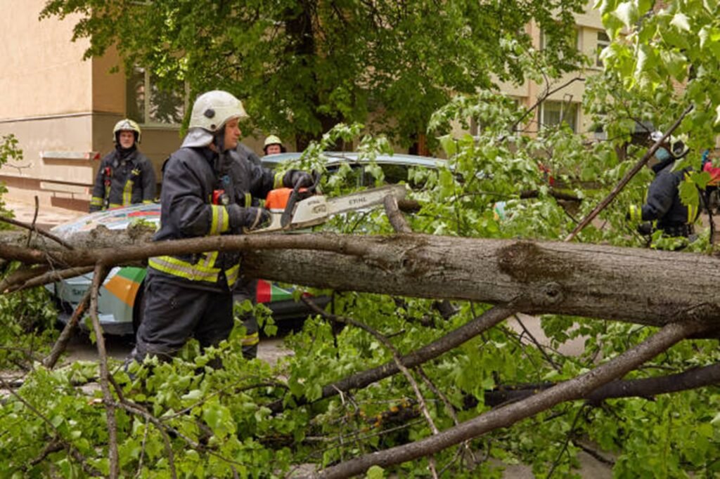 Emergency tree service crew safely cutting and removing a fallen tree blocking a residential street in Fenton, MO after severe storm damage.