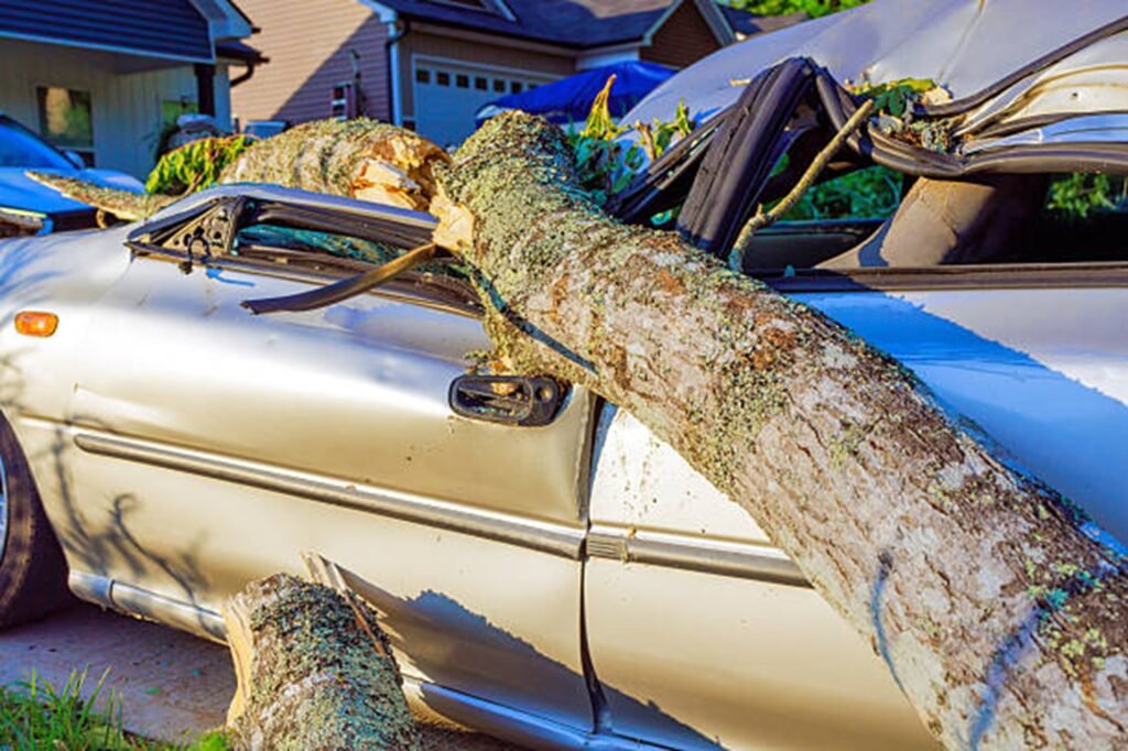 Large fallen tree crushing a parked vehicle after a severe storm, highlighting the need for professional storm damage cleanup in Fenton, MO.