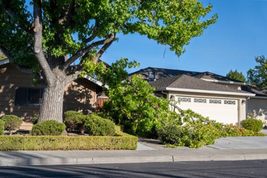 Storm-damaged tree with broken limbs blocking a residential driveway before professional storm damage cleanup in Fenton, MO.